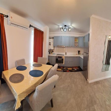 Apartament Gabriela Baia Mare Bagian luar foto