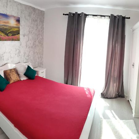 Apartament Gabriela Baia Mare Bagian luar foto