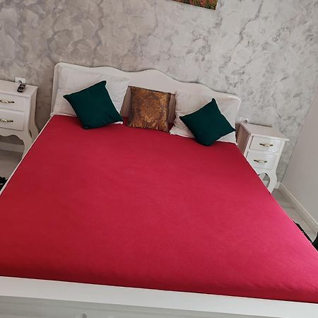Apartament Gabriela Baia Mare Bagian luar foto