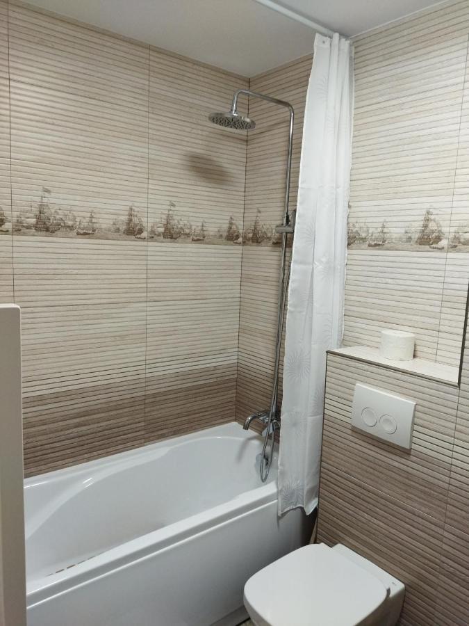 Apartament Gabriela Baia Mare Bagian luar foto