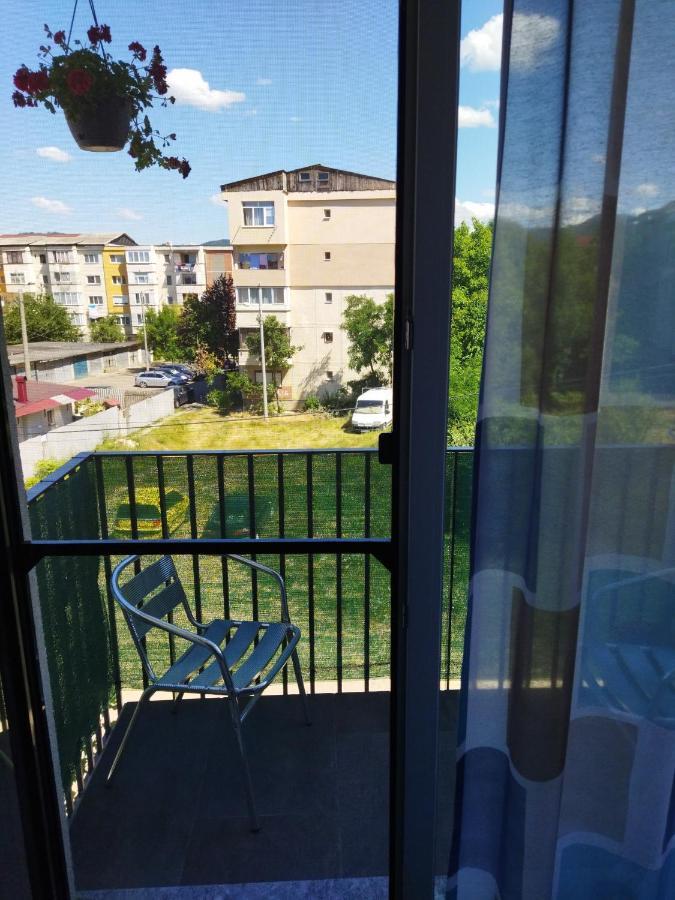 Apartament Gabriela Baia Mare Bagian luar foto