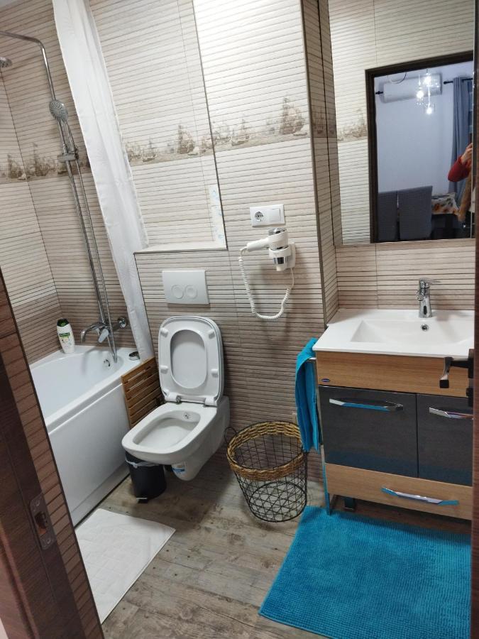 Apartament Gabriela Baia Mare Bagian luar foto