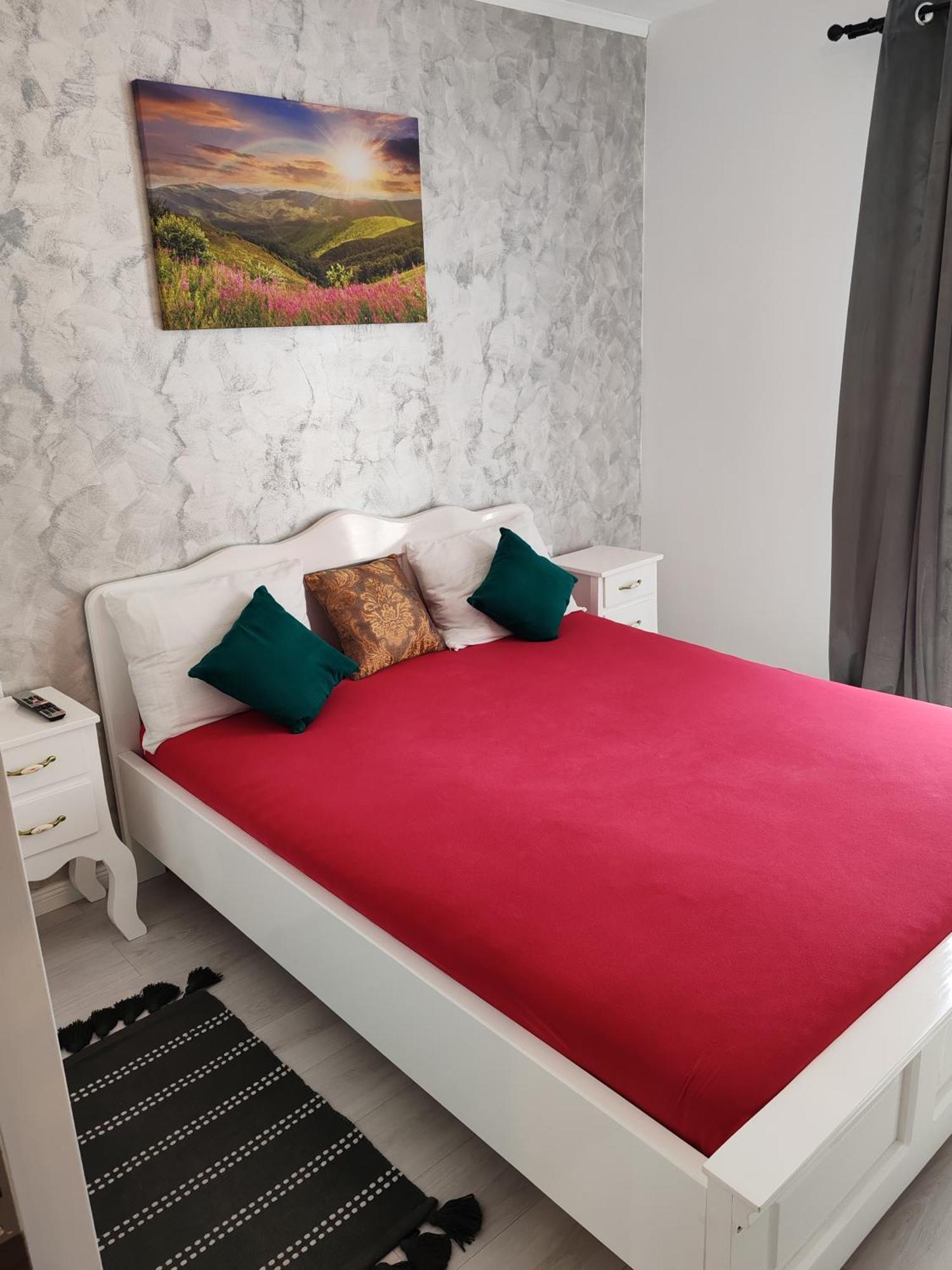 Apartament Gabriela Baia Mare Bagian luar foto